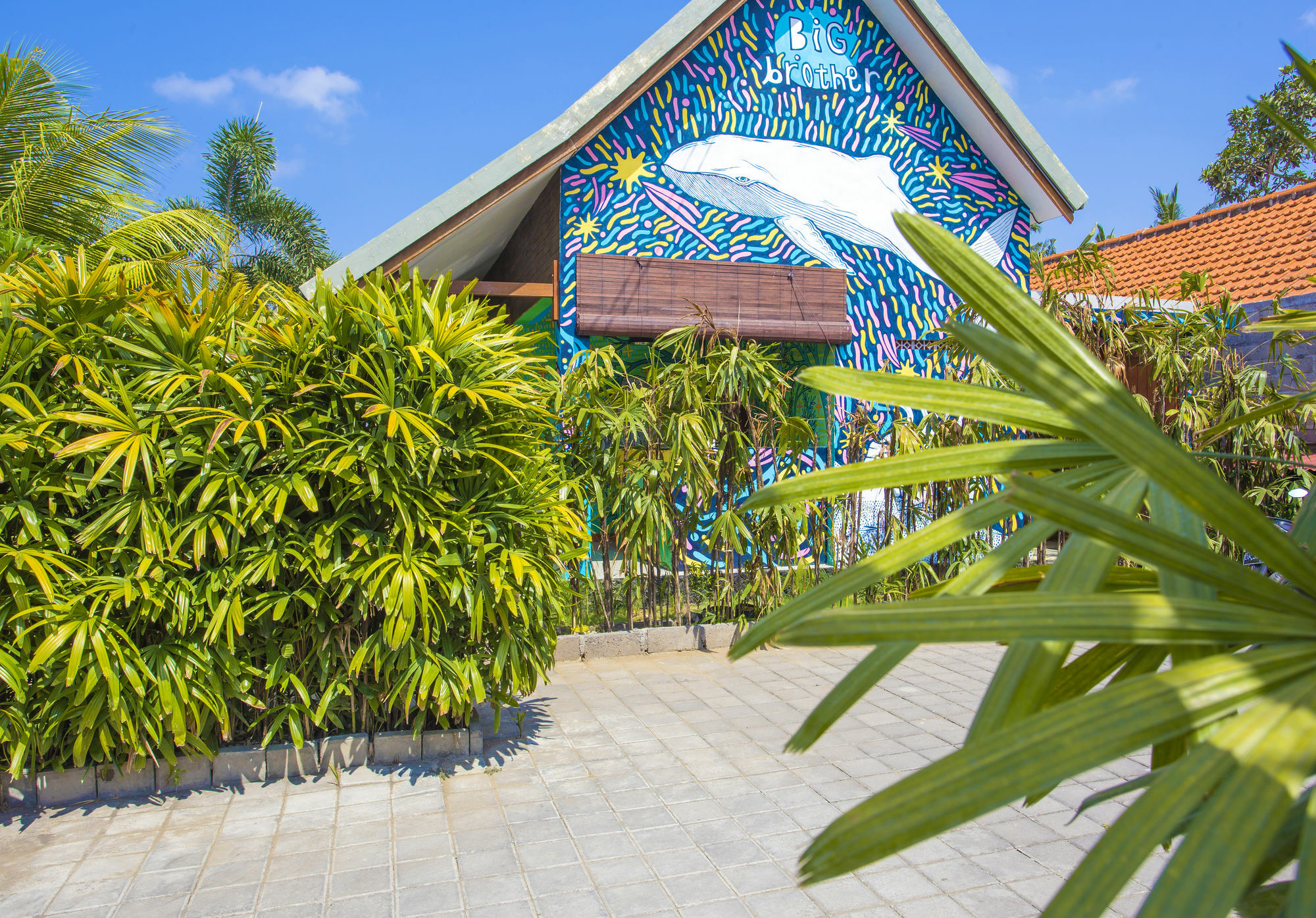 קנגו Big Brother Surf Inn מראה חיצוני תמונה
