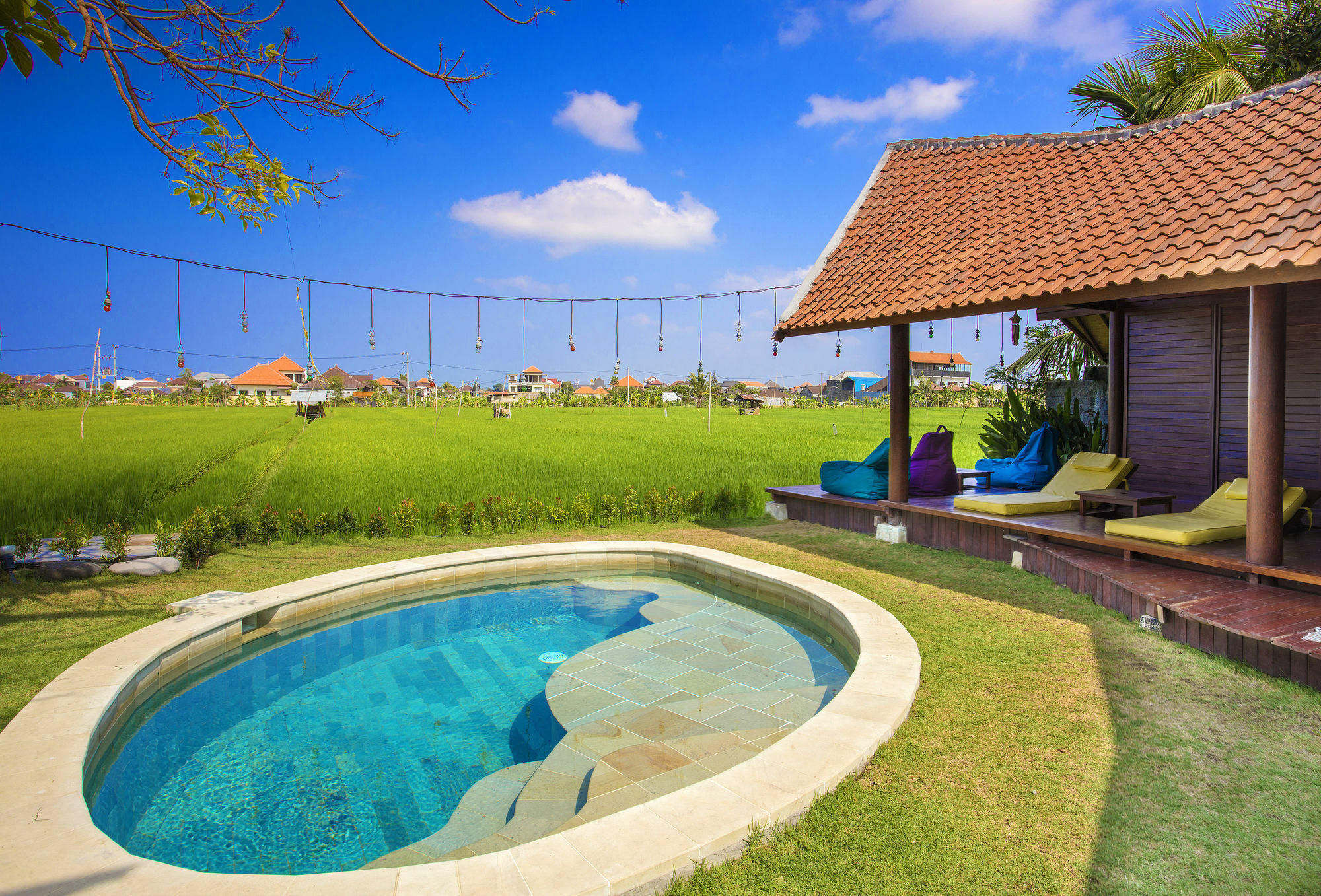 קנגו Big Brother Surf Inn מראה חיצוני תמונה